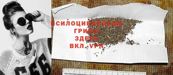 гидра Абдулино