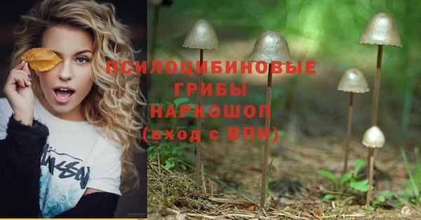 гидра Абдулино