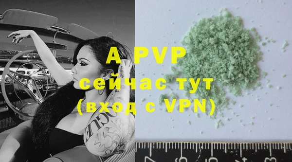 спиды Россошь